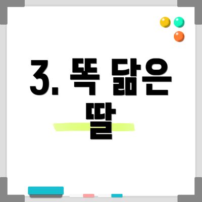 3. 똑 닮은 딸