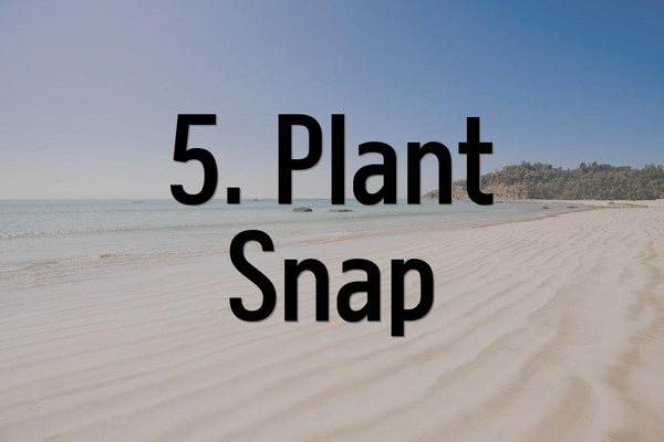 5. PlantSnap