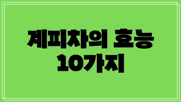 계피차의 효능 10가지