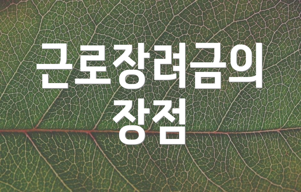 근로장려금의 장점