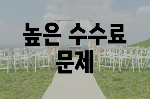 높은 수수료 문제