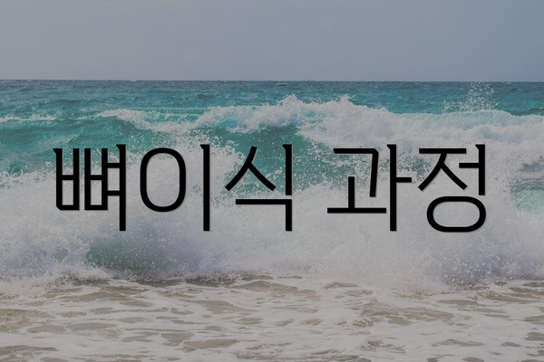 뼈이식 과정