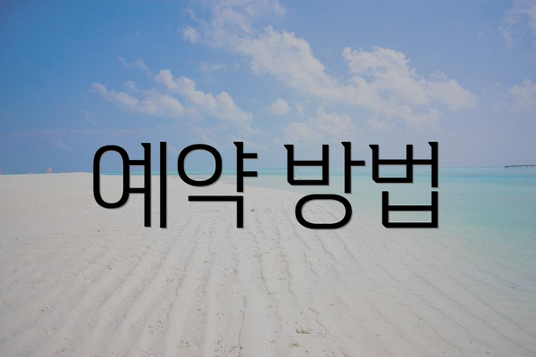 예약 방법