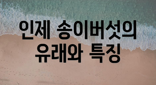 인제 송이버섯의 유래와 특징