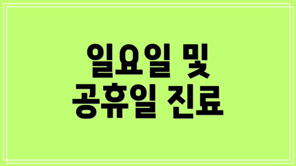 일요일 및 공휴일 진료