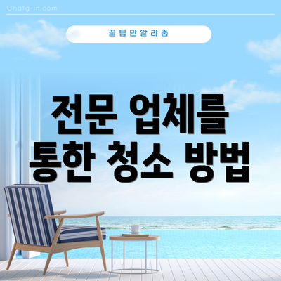 전문 업체를 통한 청소 방법