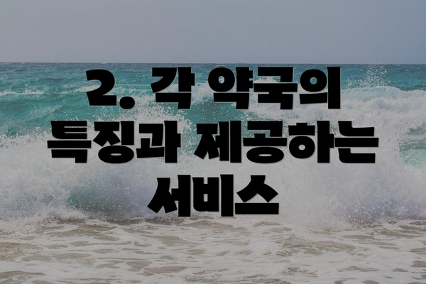 2. 각 약국의 특징과 제공하는 서비스