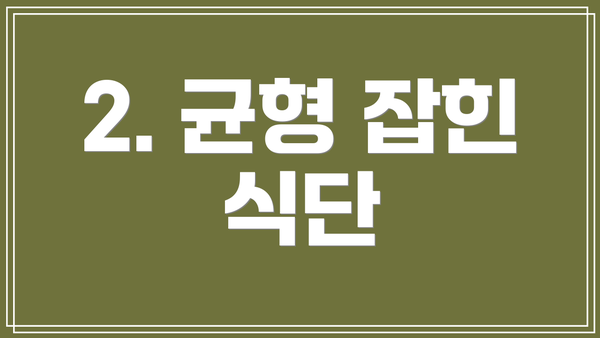 2. 균형 잡힌 식단