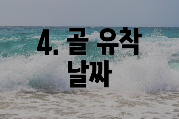 4. 골 유착 날짜