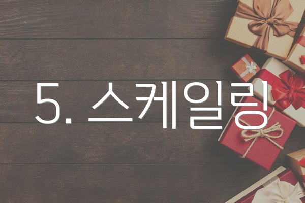 5. 스케일링
