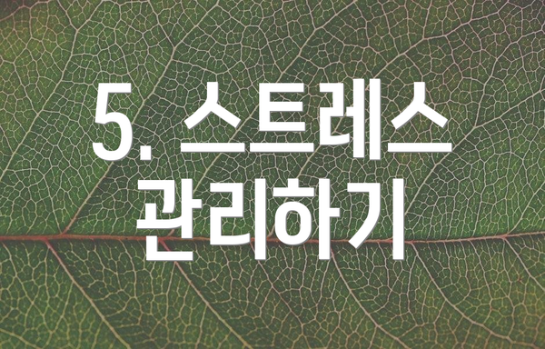 5. 스트레스 관리하기
