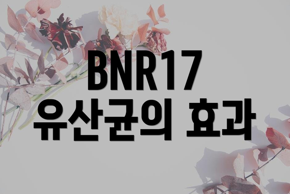 BNR17 유산균의 효과