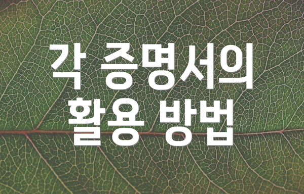 각 증명서의 활용 방법