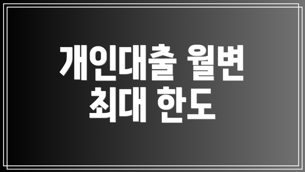 개인대출 월변 최대 한도