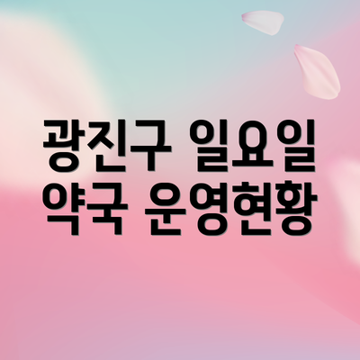 광진구 일요일 약국 운영현황