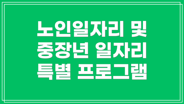 노인일자리 및 중장년 일자리 특별 프로그램