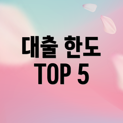 대출 한도 TOP 5