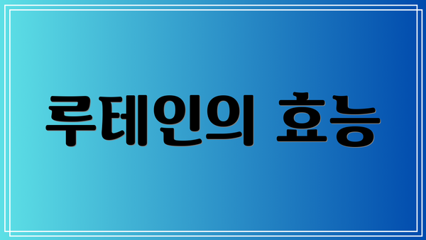 루테인의 효능