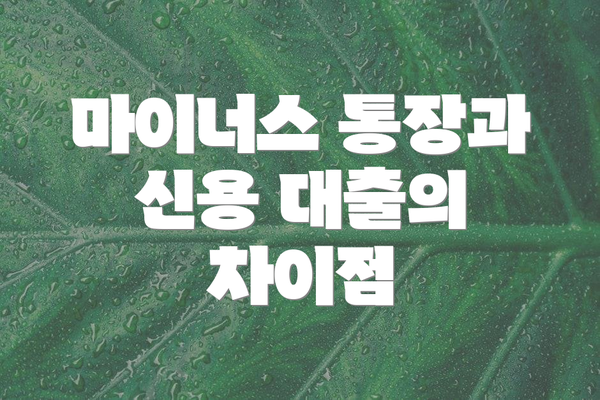 마이너스 통장과 신용 대출의 기본 개요