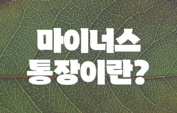 마이너스 통장이란?