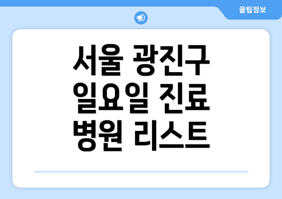 서울 광진구 일요일 진료 병원 리스트