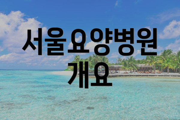 서울요양병원 개요