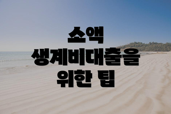소액 생계비대출을 위한 팁