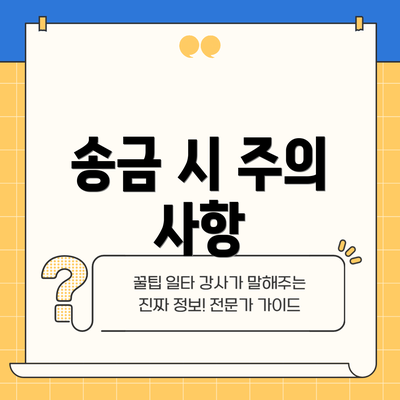 송금 시 주의 사항