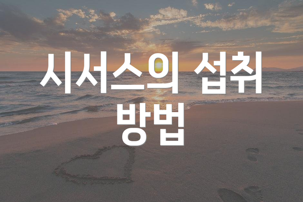 시서스의 섭취 방법
