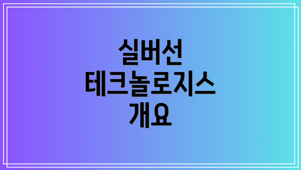 실버선 테크놀로지스 개요