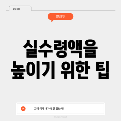 실수령액을 높이기 위한 팁
