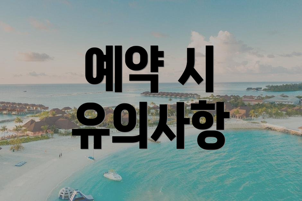 예약 시 유의사항