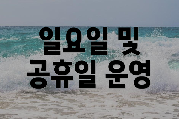 일요일 및 공휴일 운영