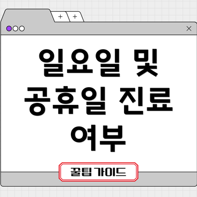 일요일 및 공휴일 진료 여부