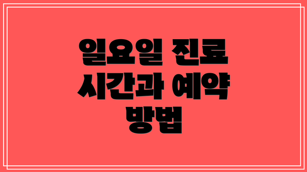 일요일 진료 시간과 예약 방법