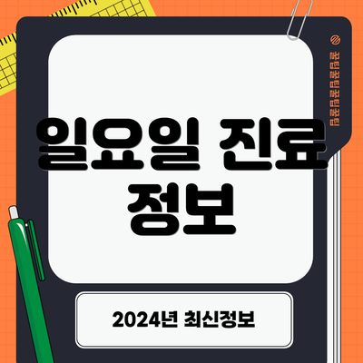일요일 진료 정보