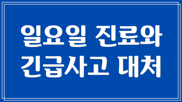 일요일 진료와 긴급사고 대처