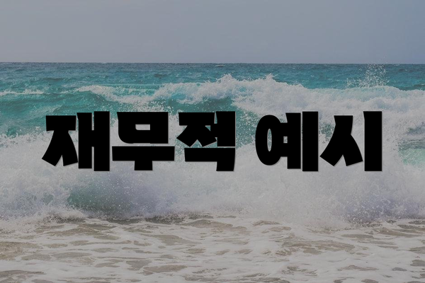 재무적 예시