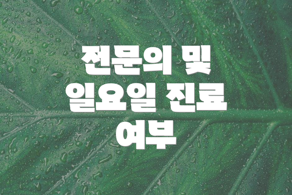 전문의 및 일요일 진료 여부