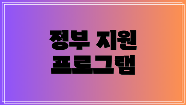 정부 지원 프로그램