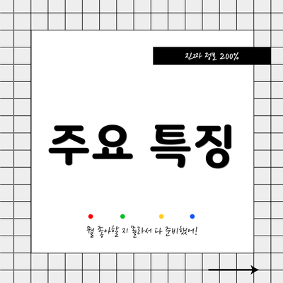 주요 특징