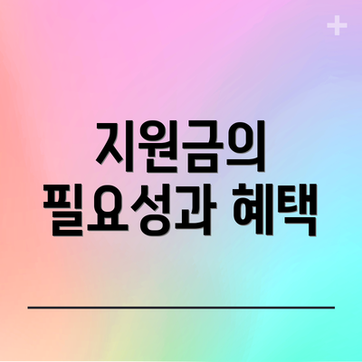 지원금의 필요성과 혜택