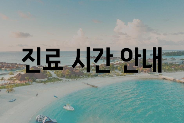 진료 시간 안내