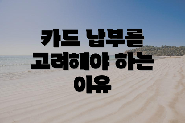 카드 납부를 고려해야 하는 이유