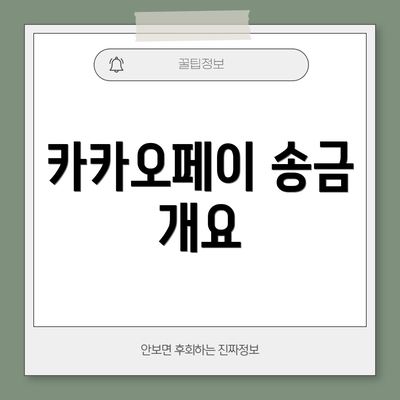 카카오페이 송금 개요
