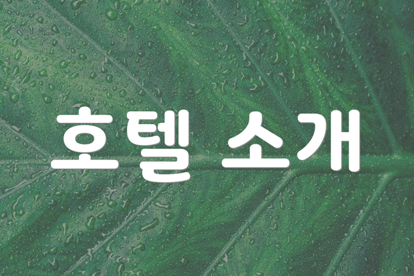 호텔 소개