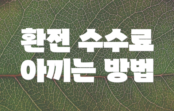 환전 수수료 아끼는 방법