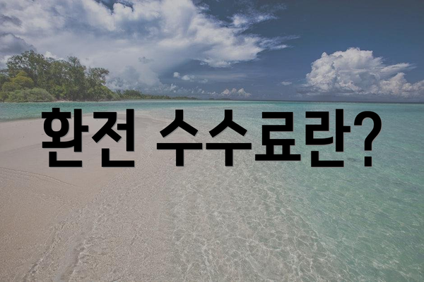 환전 수수료란?