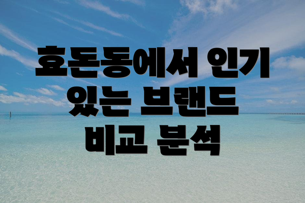 효돈동에서 인기 있는 브랜드 비교 분석